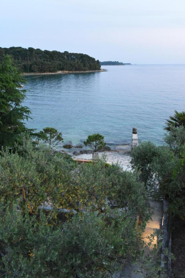 Buric House - M Suite - 95M2 And 54 M2 Terrace Rovinj Eksteriør bilde